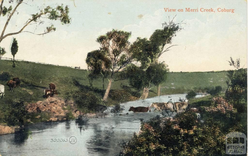 View on Merri Creek, Coburg