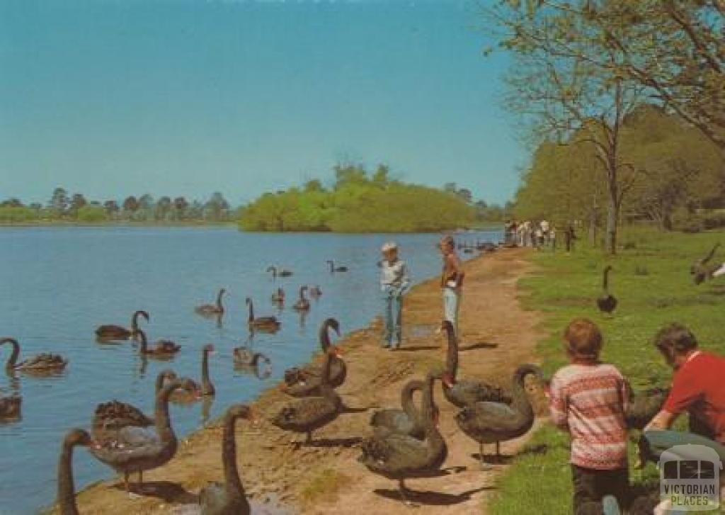 Lake Wendouree