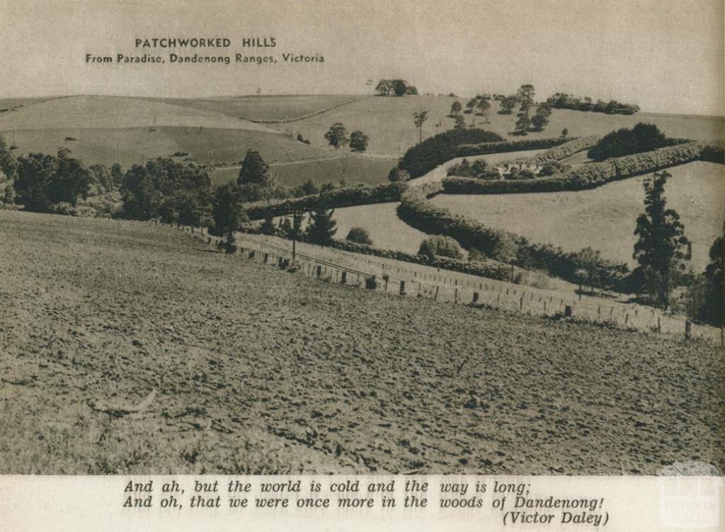 Patchwork hills, Paradise, Dandenong Ranges, 1954