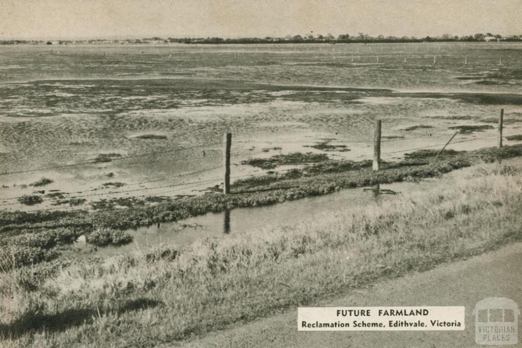 Future farmland, reclamation scheme, Edithvale, 1954