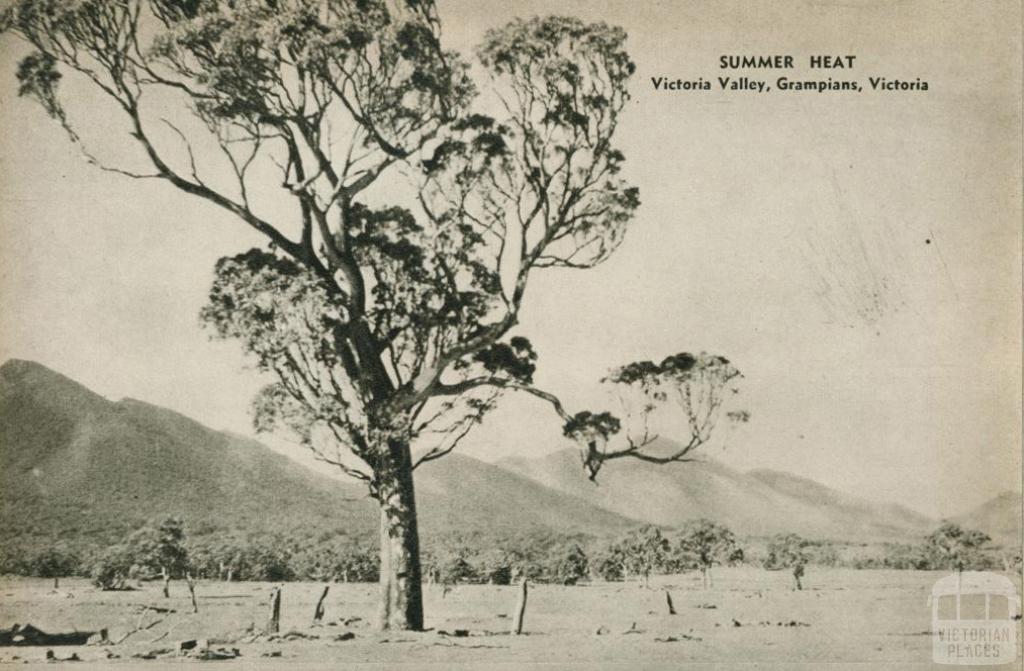 Summer heat, Victoria Valley, The Grampians, 1954