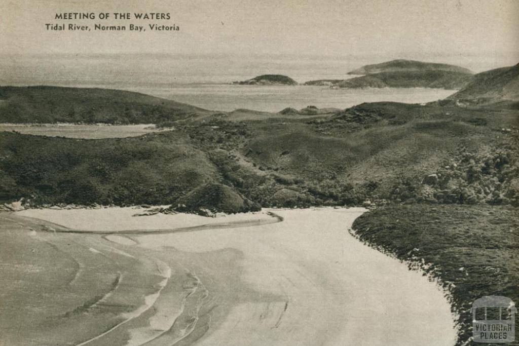 Tidal river, Norman Bay, 1954