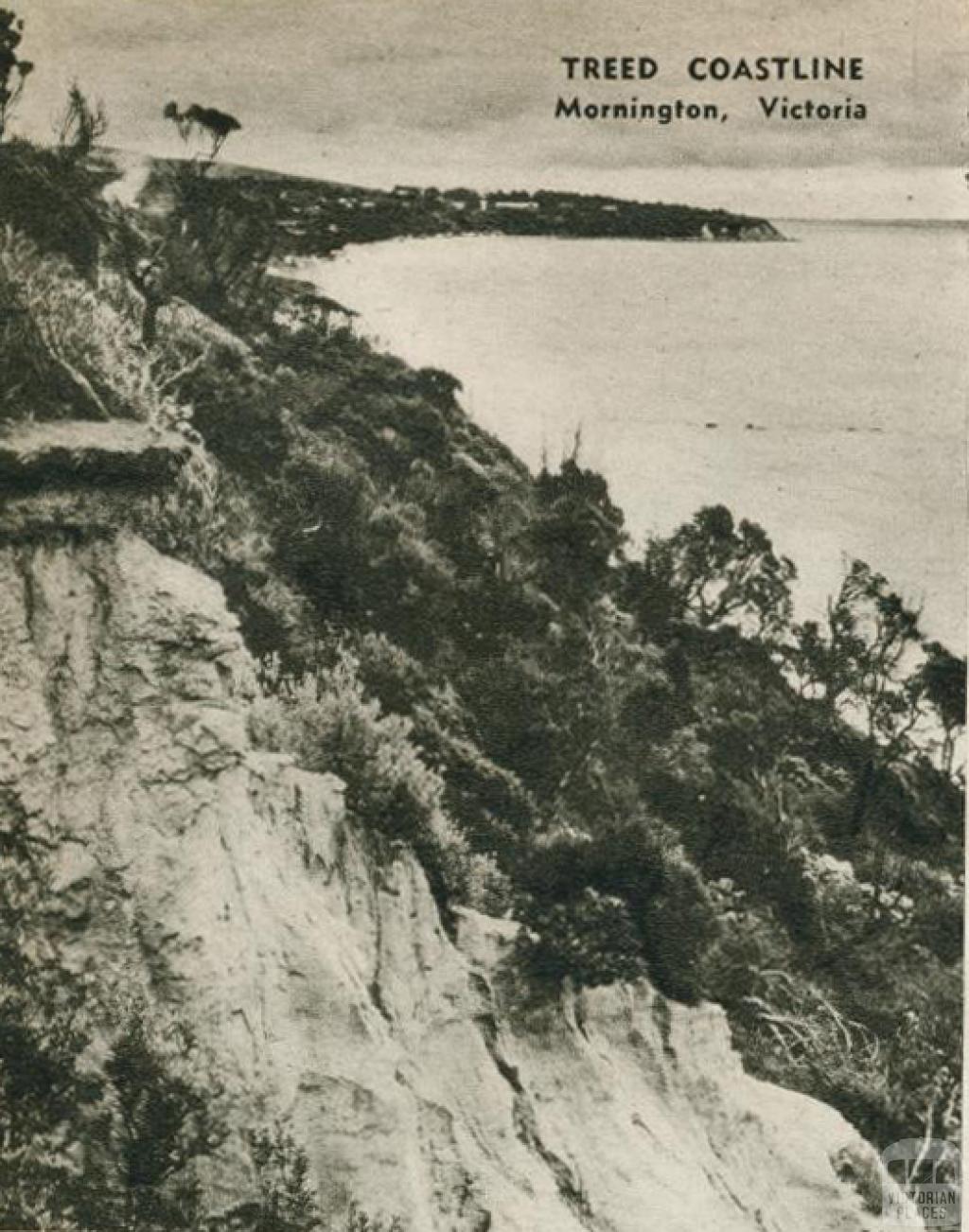 Treed coastline, Mornington, 1954