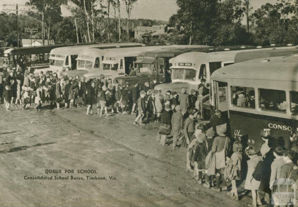 Consolidated school buses, Timboon, 1954