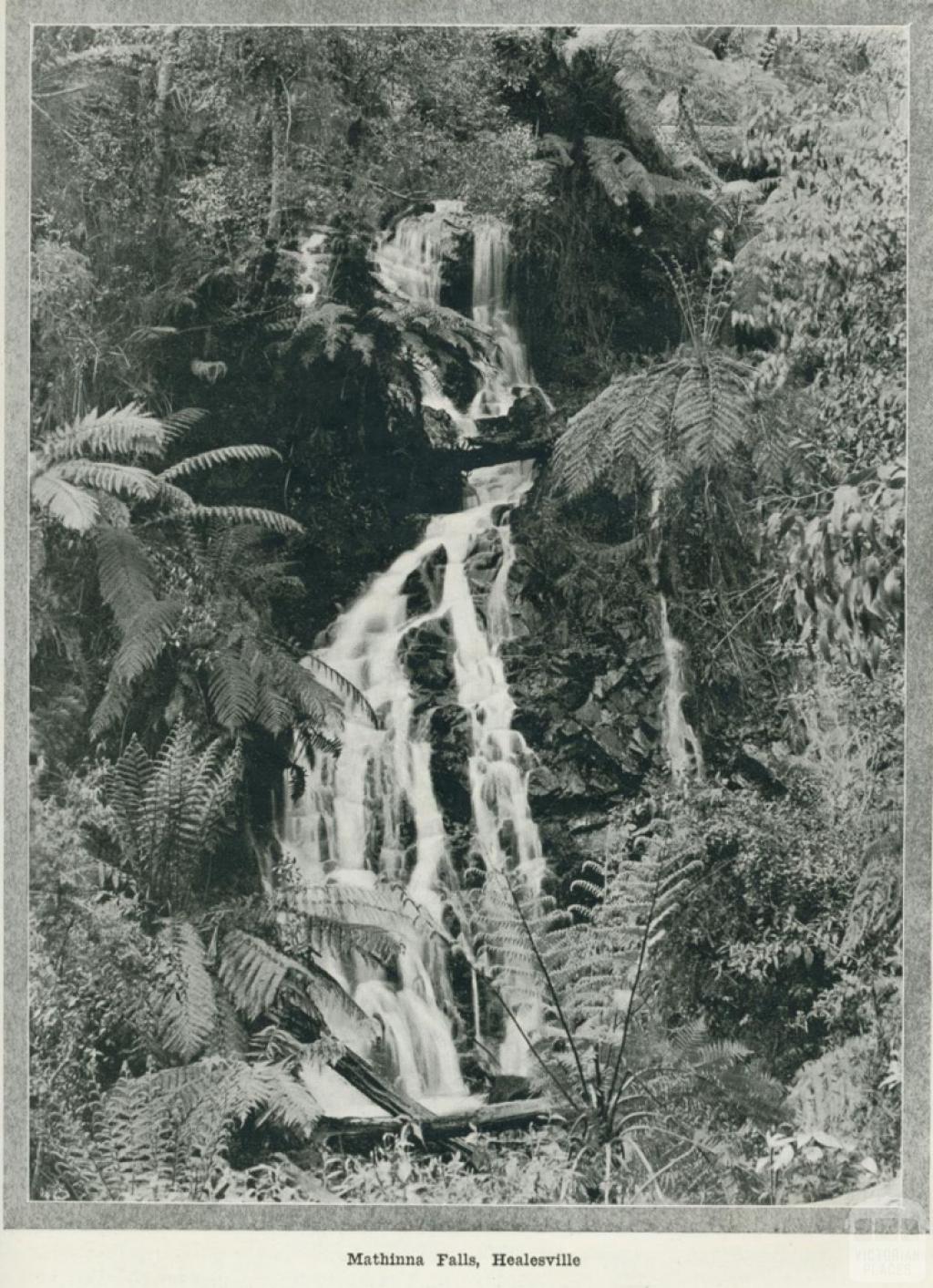 Mathinna falls, Healesville, 1918