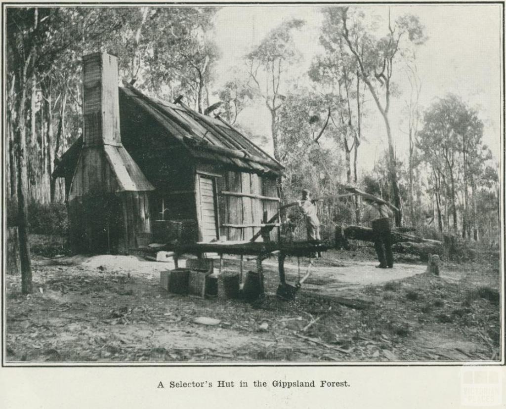 A selector's hut in the Gippsland Forest, 1918