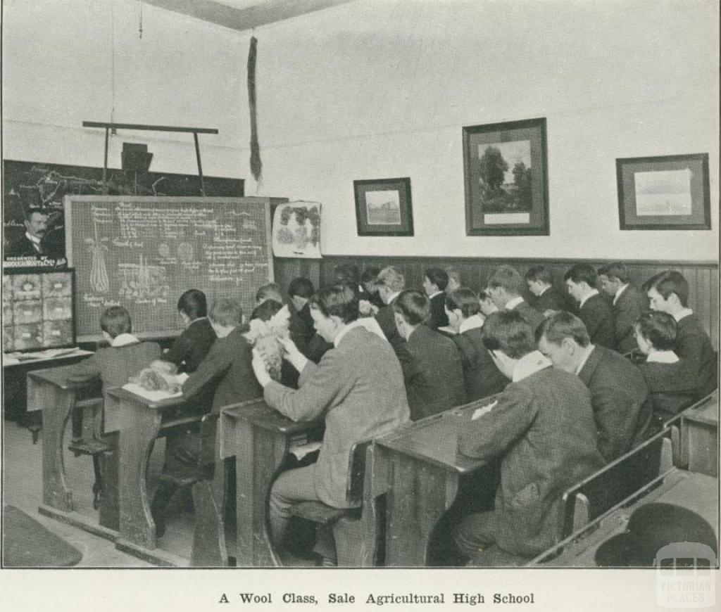 A wool class, Sale Agricultural High School, 1918