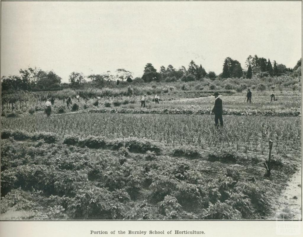 Portion of the Burnley School of Horticulture, 1918 | Victorian Places