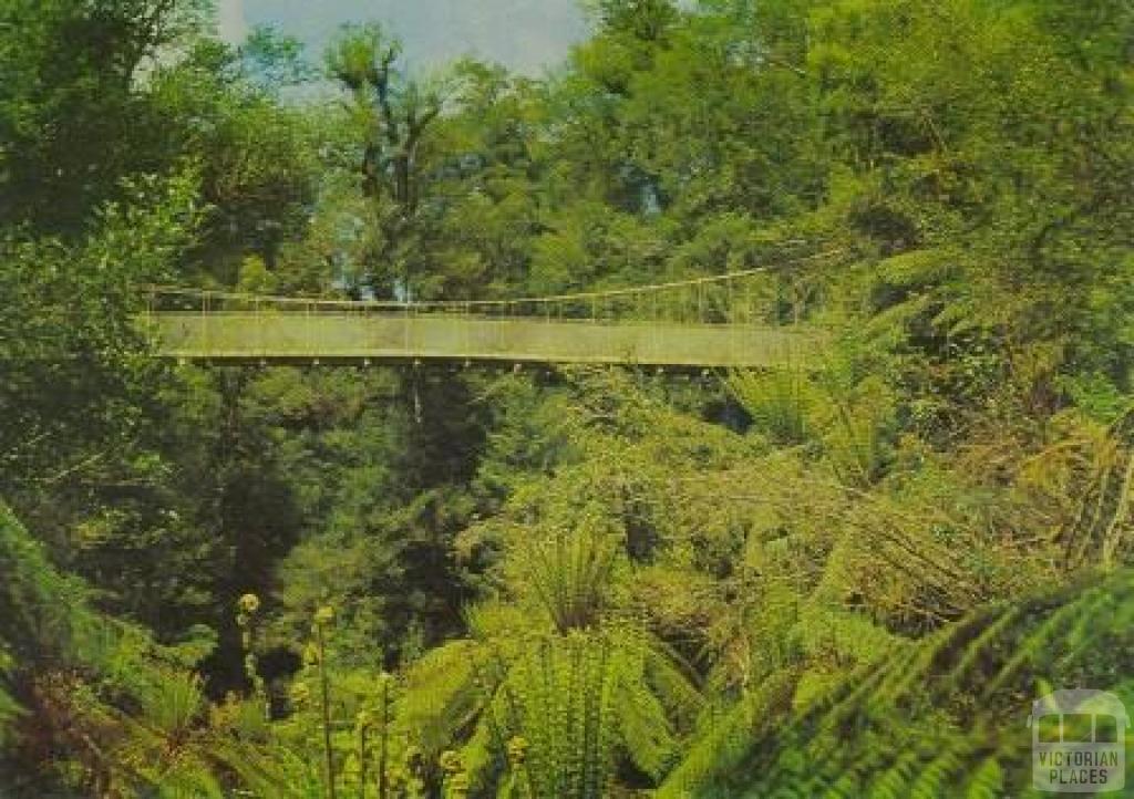 Swinging Bridge, Gippsland