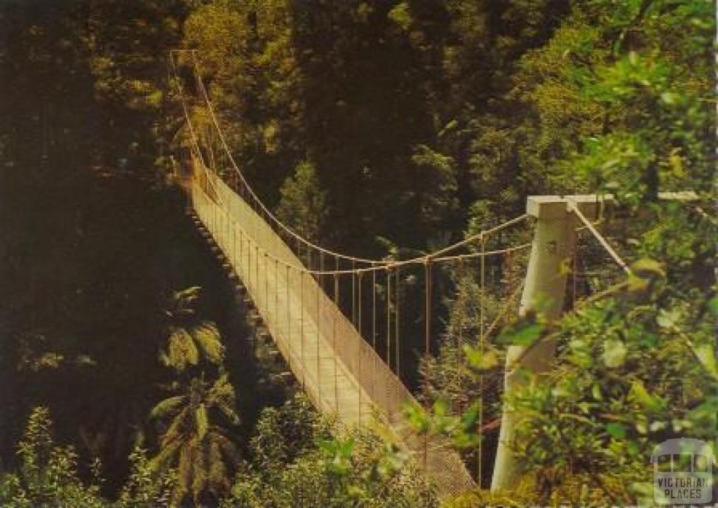 Swinging Bridge, Gippsland