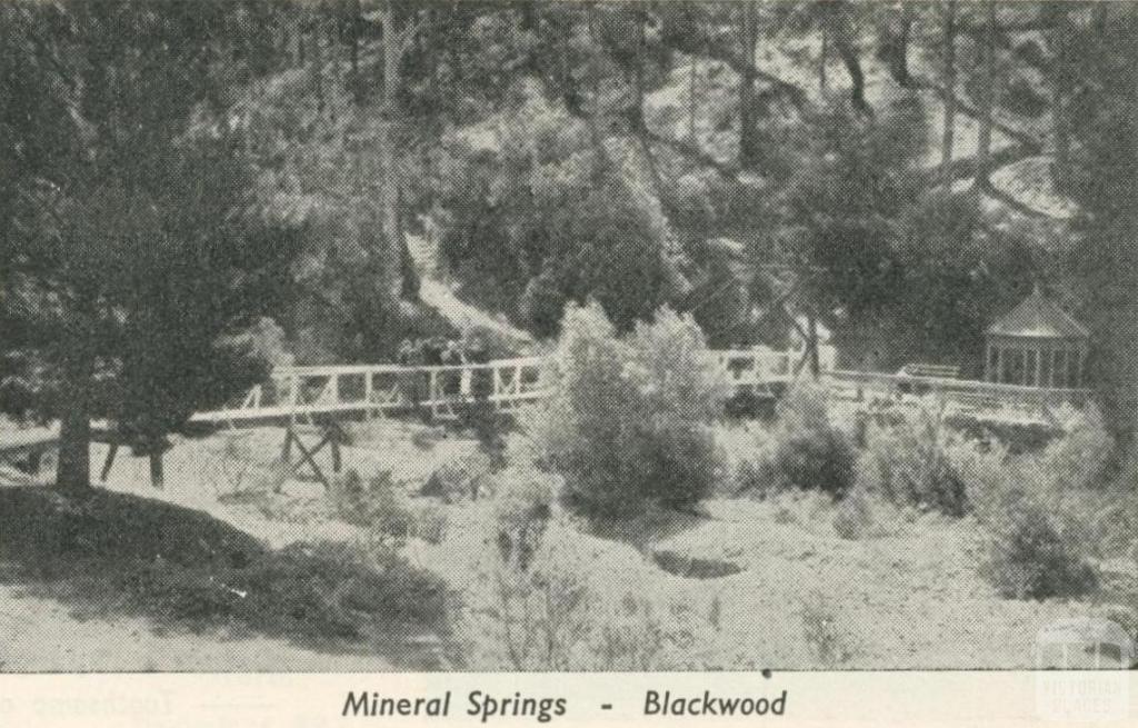 Blackwood Mineral Springs, 1950