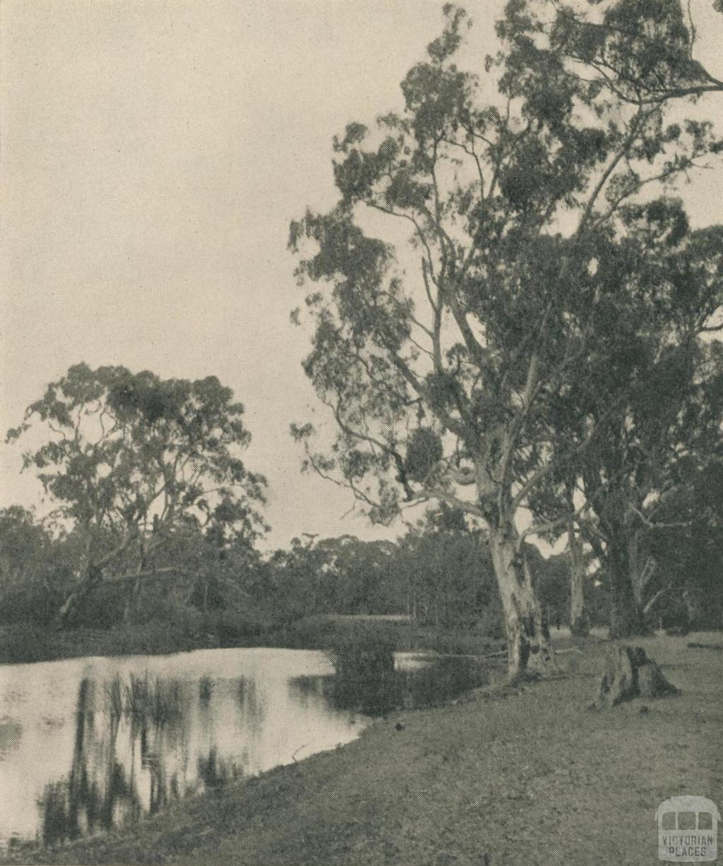 On the Glenelg River, 1943