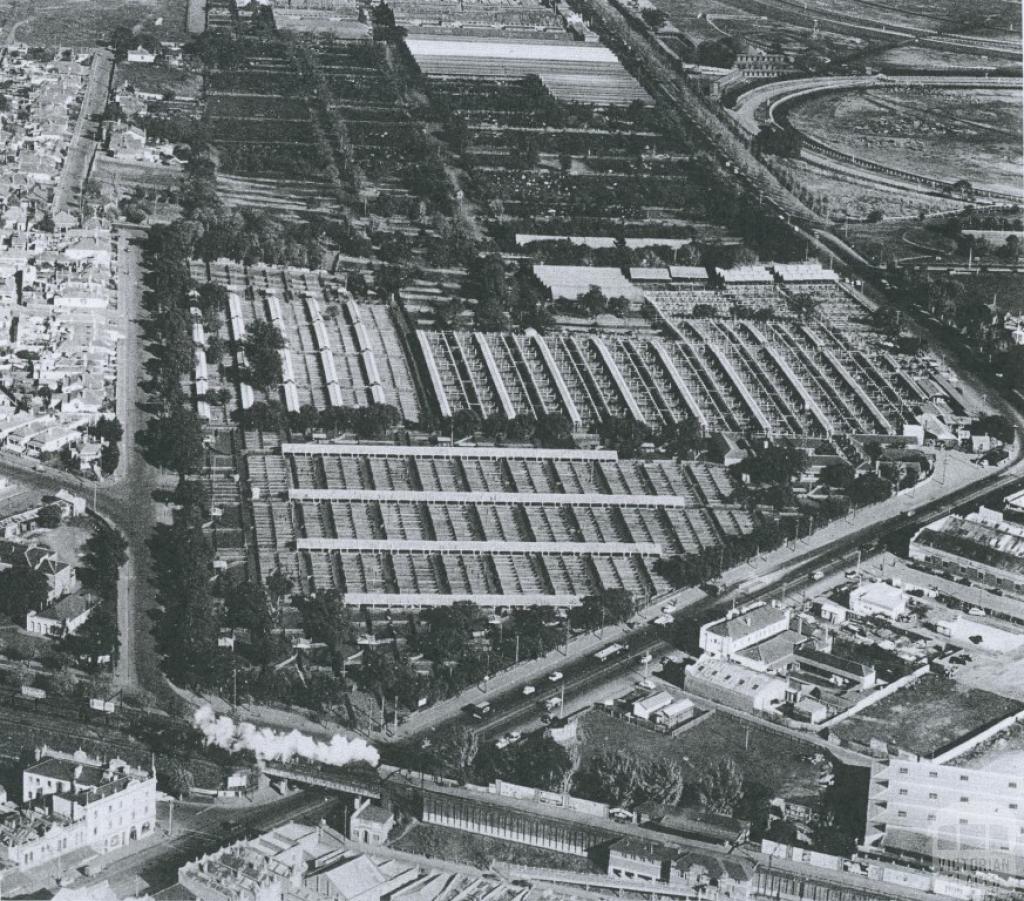 Newmarket Saleyards, Kensington, 1953