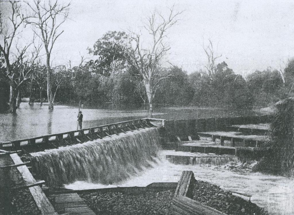 Glenorchy weir, Wimmera River, Gelnorchy, 1903