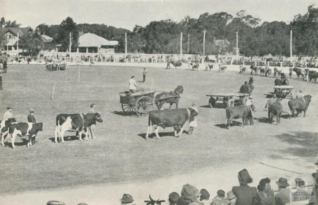 The Agricultural Society's Annual Show, Echuca, 1950