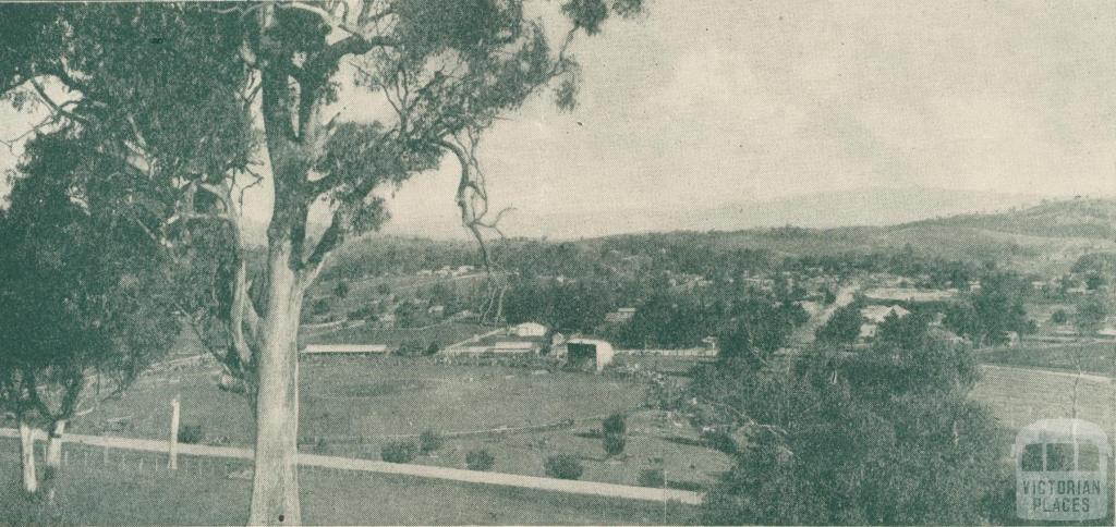 View of Alexandra, looking across the Show and Recreation Grounds