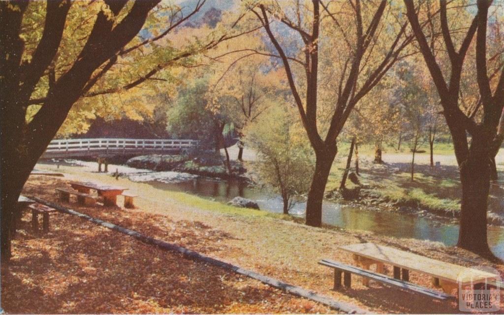 Picnic Ground at Morse's Creek, Bright, c1960