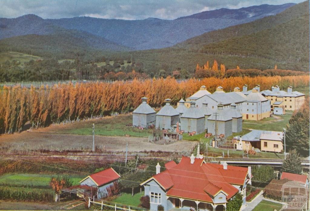 Hop Oasthouses and Tobacco Kilns, Panlook's, Eurobin, c1960