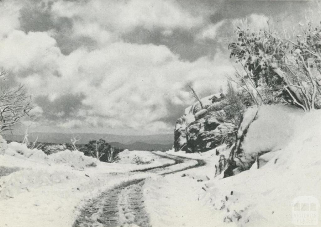 Road to Cathedral, Mount Buffalo, c1960