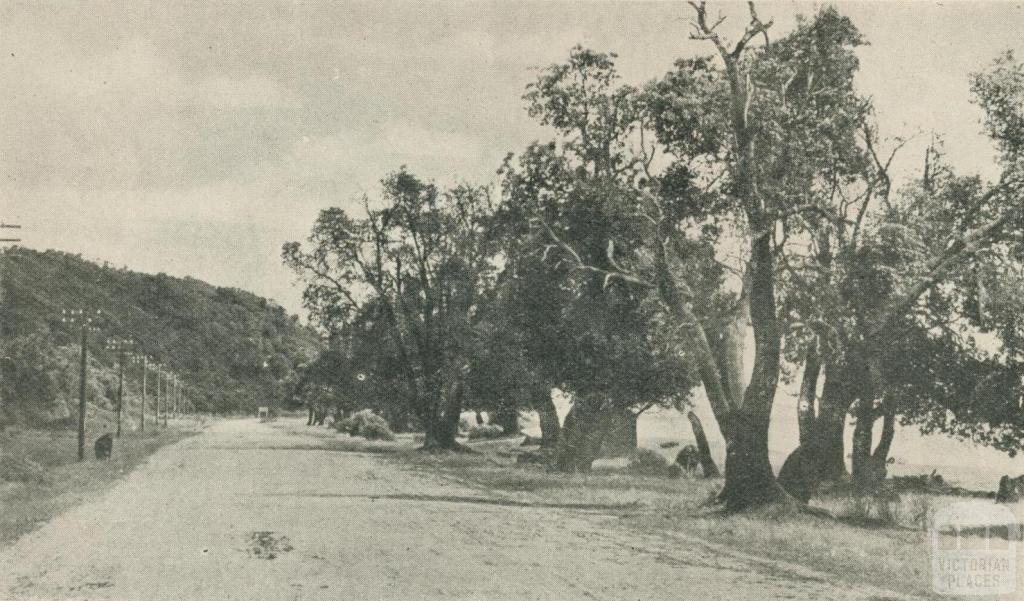 The Beach Road, Dromana