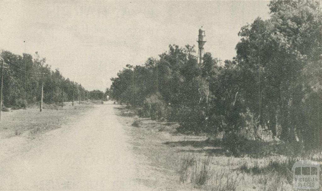 The Main Road, Rosebud