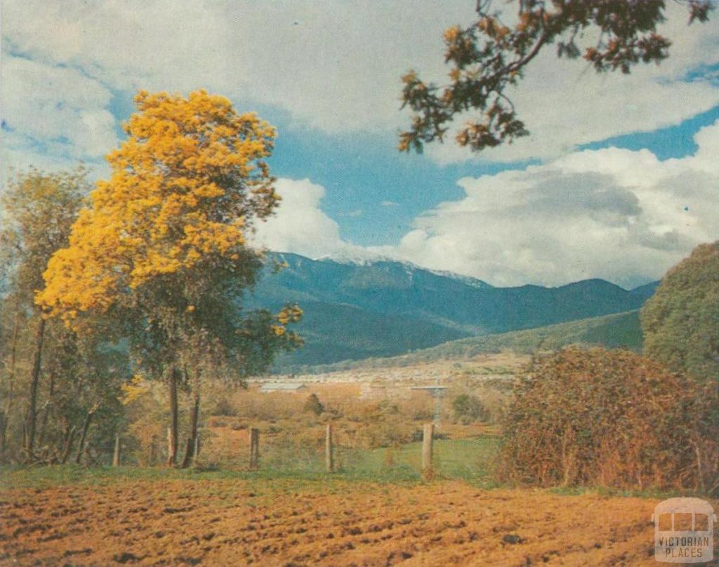 Mount Beauty township with Mount Bogong beyond