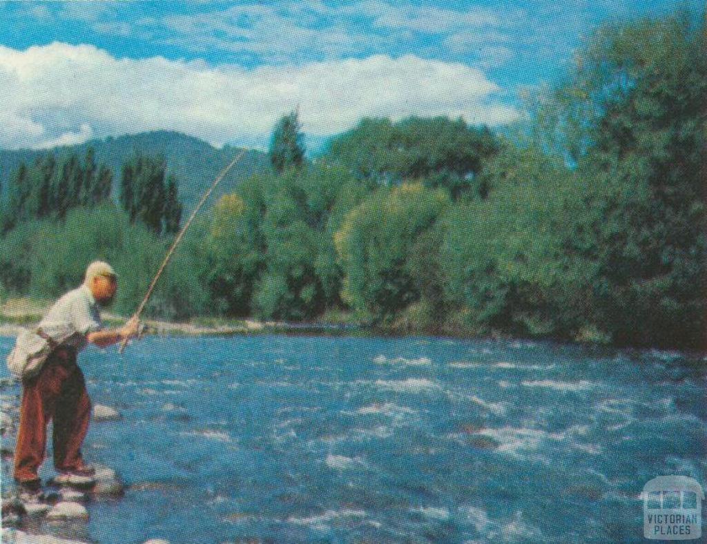 Trout Fishing, Kiewa, 1971