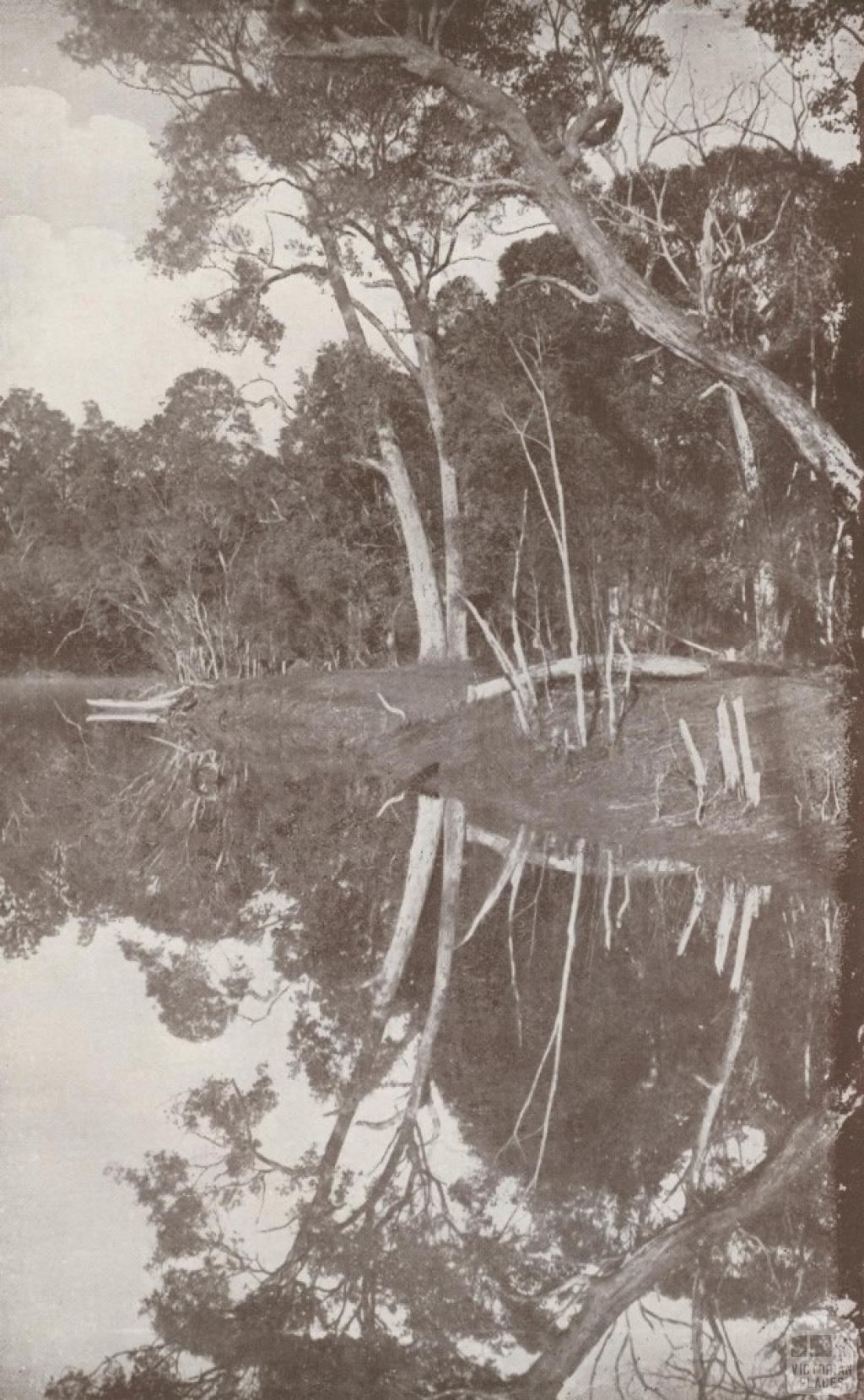 Nowa Nowa Landing, Lake Tyers, 1934