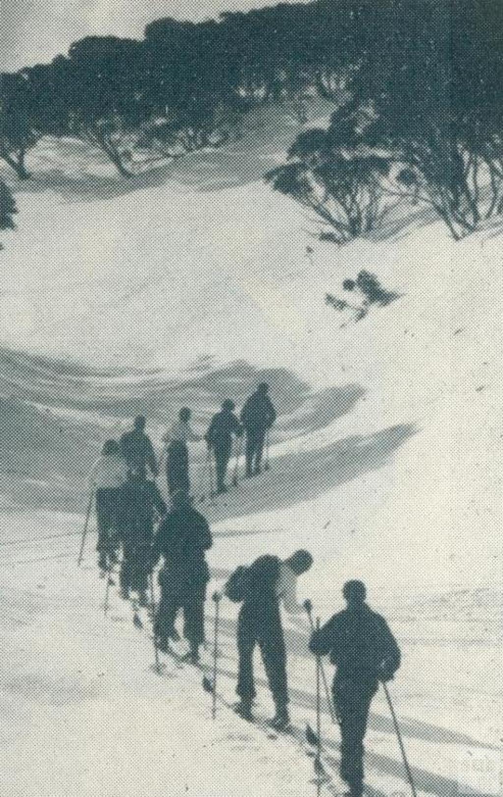 Skiing in the Alps, 1951