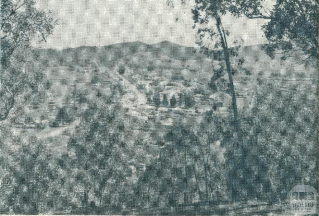 View of Myrtleford, 1951