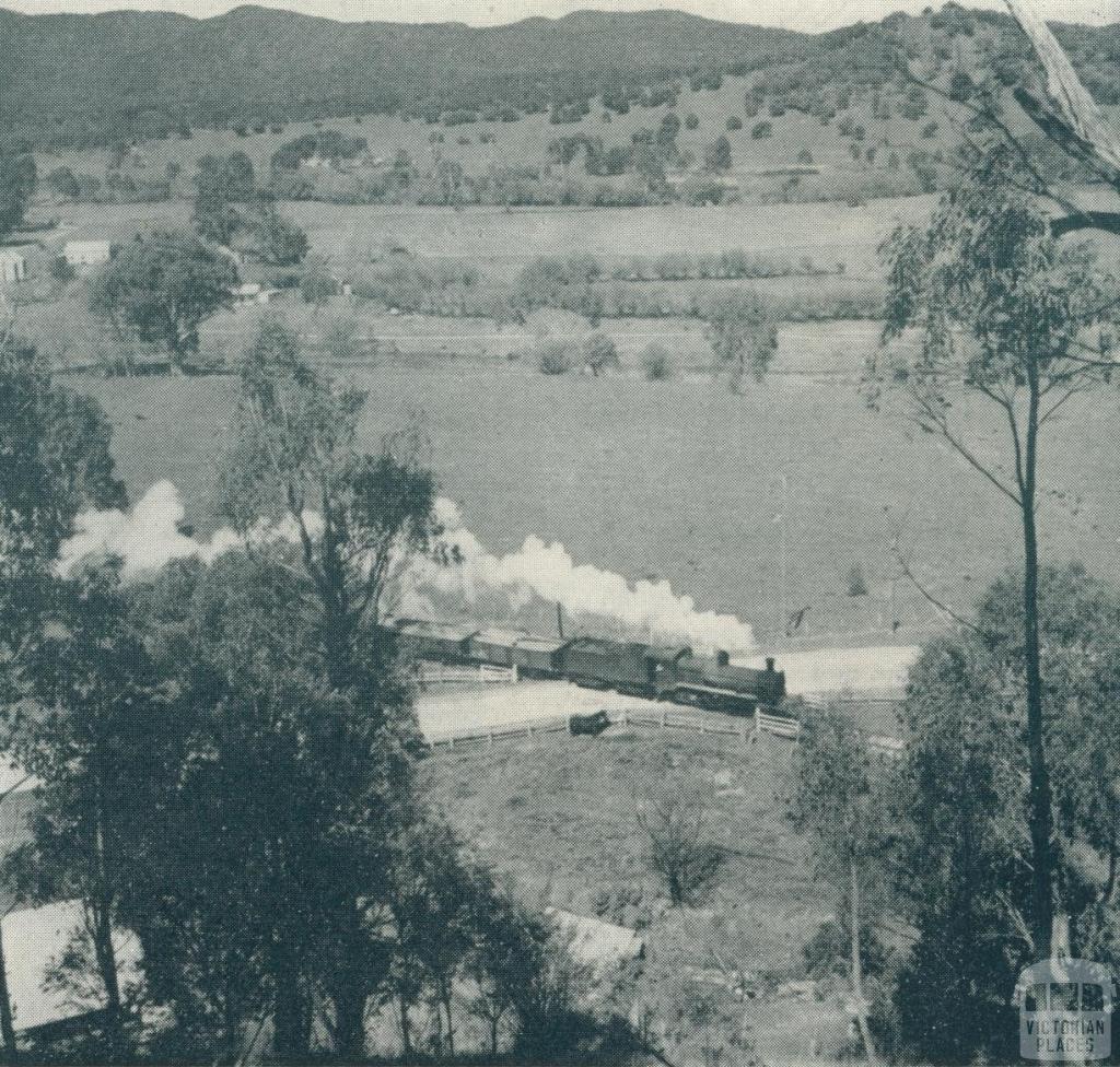 Train transportation Myrtleford, 1951