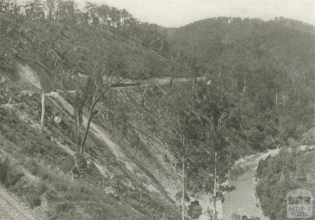 Train entering the Thomson Valley, Walhalla, c1910