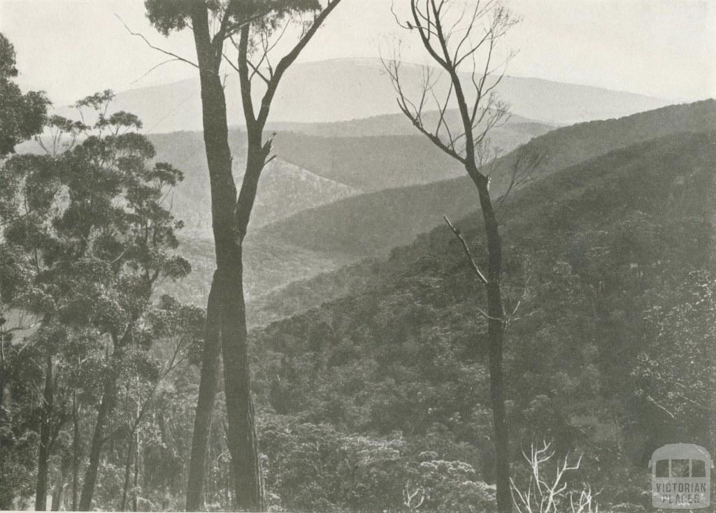 Mount Baw Baw, Walhalla, c1910