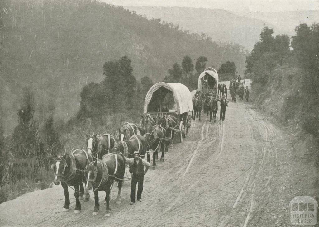 Teamsters, Walhalla, c1910