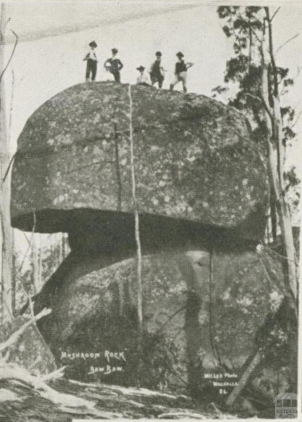 Mushroom Rock, Baw Baw, c1910