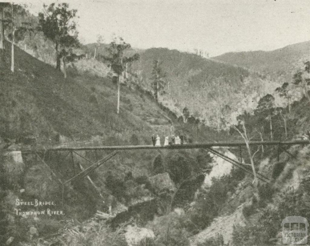 Steel Bridge, Thomson River, Walhalla, c1910