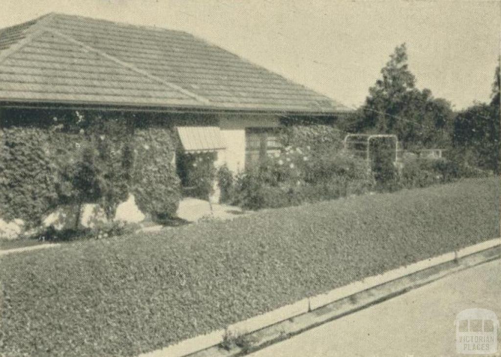 A private garden, Yallourn, 1961