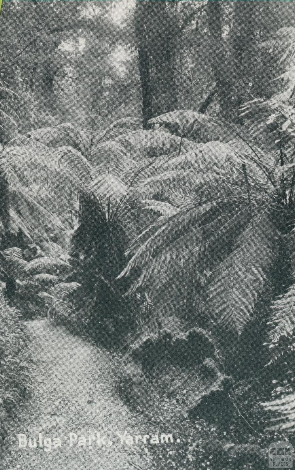 Bulga Park, Yarram, 1947