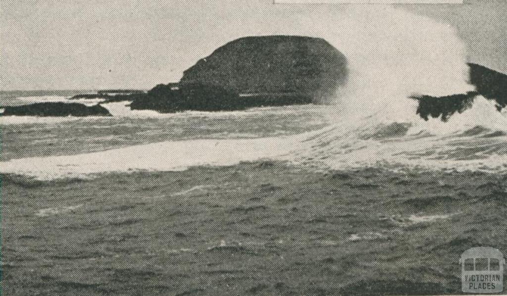 The Nobbies, off Phillip Island, 1910