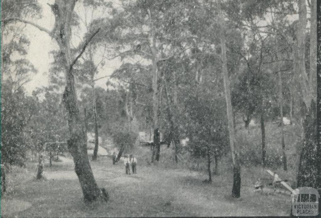 Bushlands, Hepburn Springs, 1959