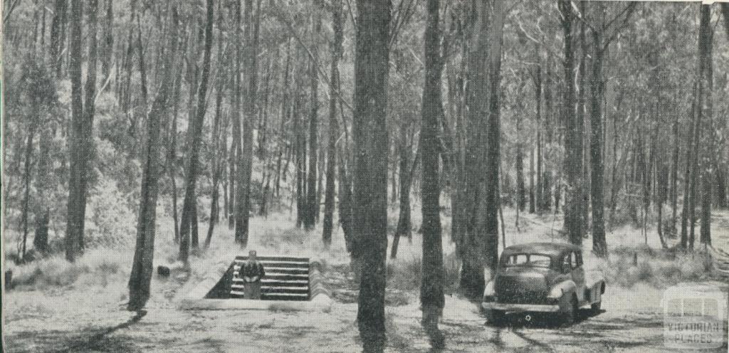 Spa in the woods, Lyonville, 1959