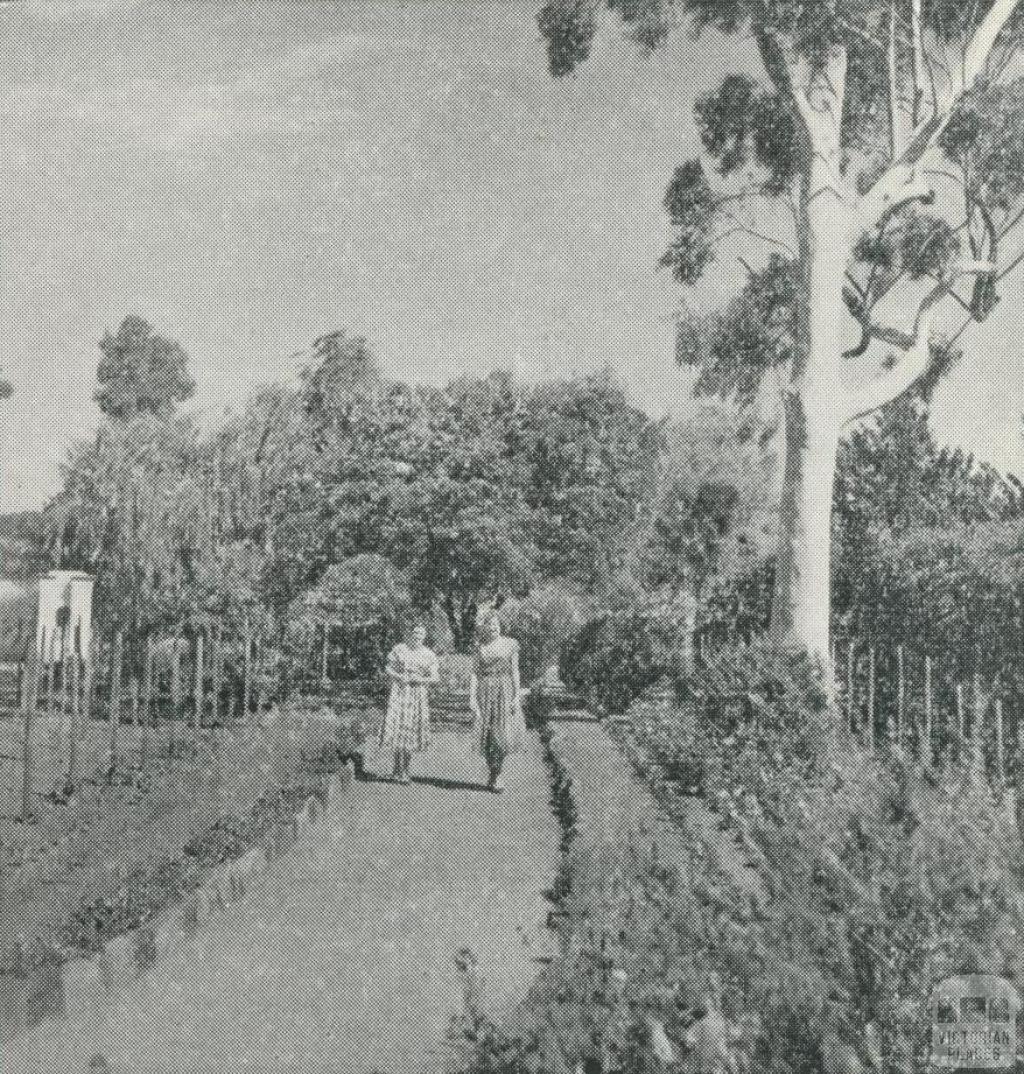 Botanical Gardens, Maryborough, 1959