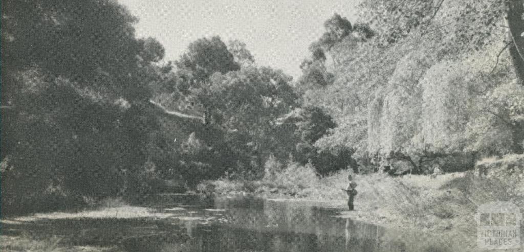 Loddon River, Castlemaine, 1959