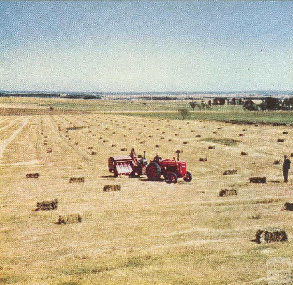 Hay-bailing, Mount Moriac, 1958