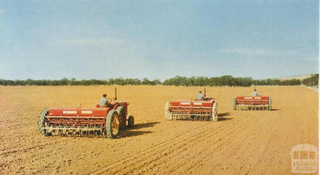 Sowing a wheat crop, Warracknabeal, 1958