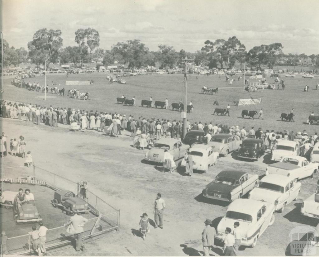 The Agricultural Show, Tatura, 1960