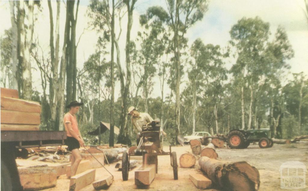 Sleepers are cut for Victorian Railways, Barmah, 1960