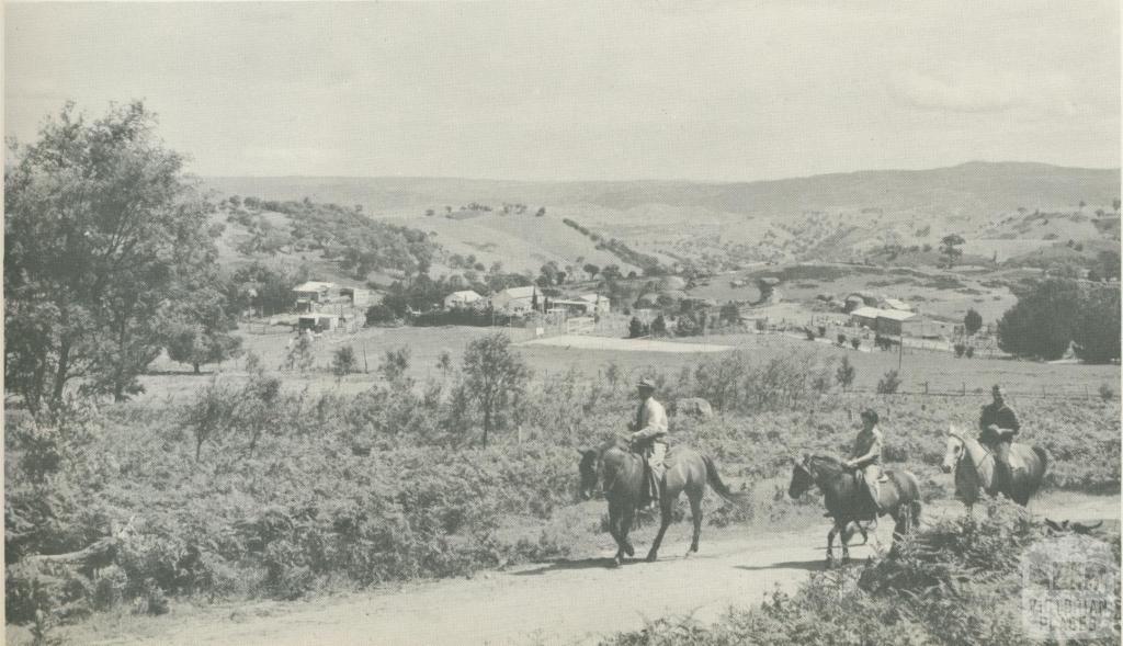 Homestead and farmland in sheep country, Yea, 1960