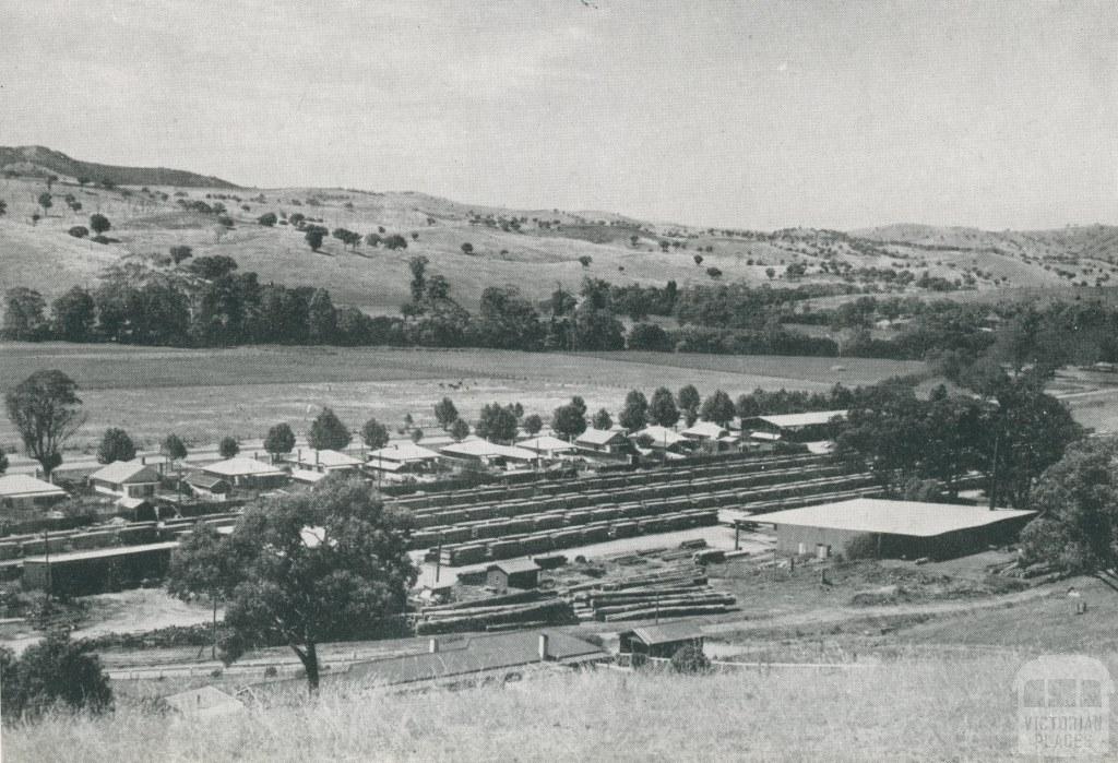 Saw milling, kiln seasoning and planing mill, Swifts Creek, 1955