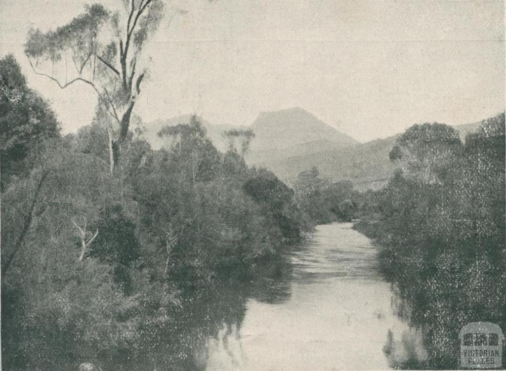 Buffalo River, Myrtleford, 1911